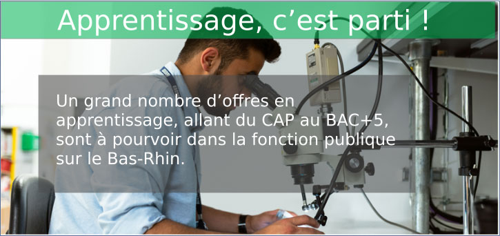 Apprentissage,&nbsp;c�est&nbsp;parti&nbsp;!