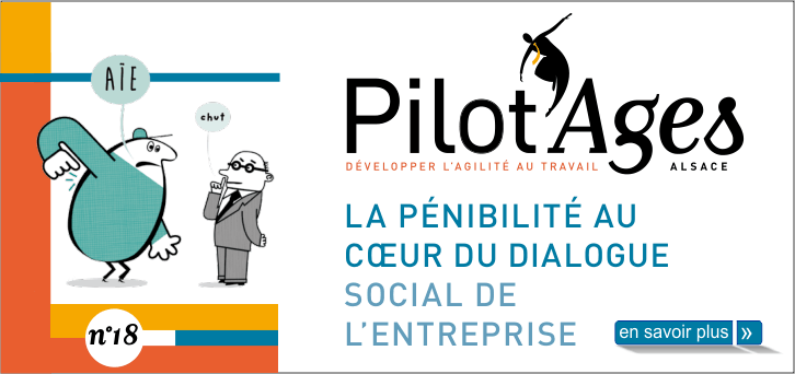 Pilot Ages - d�velopper l'agilit� au travail