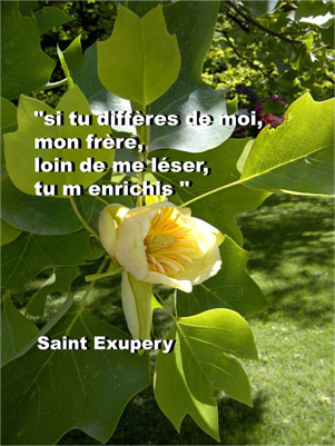 Action et Comp�tence Alsace, Les st�r�otypes et nous : T�moignage d'Agn�s GERBER � Directrice d'Action et Comp�tence