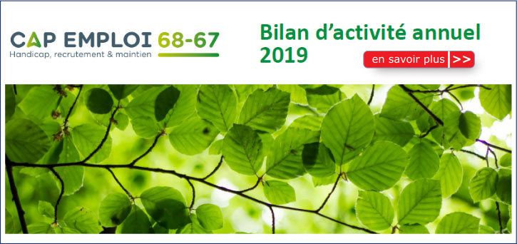 Bilan d'activit� annuel 2019 Cap emploi